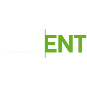 Netent logo.